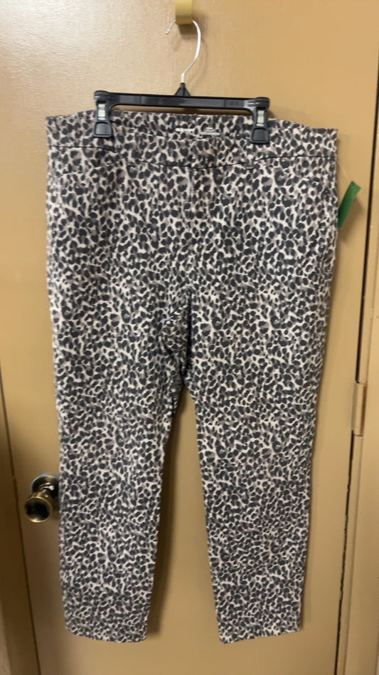 Old Navy Pixie Pants 12