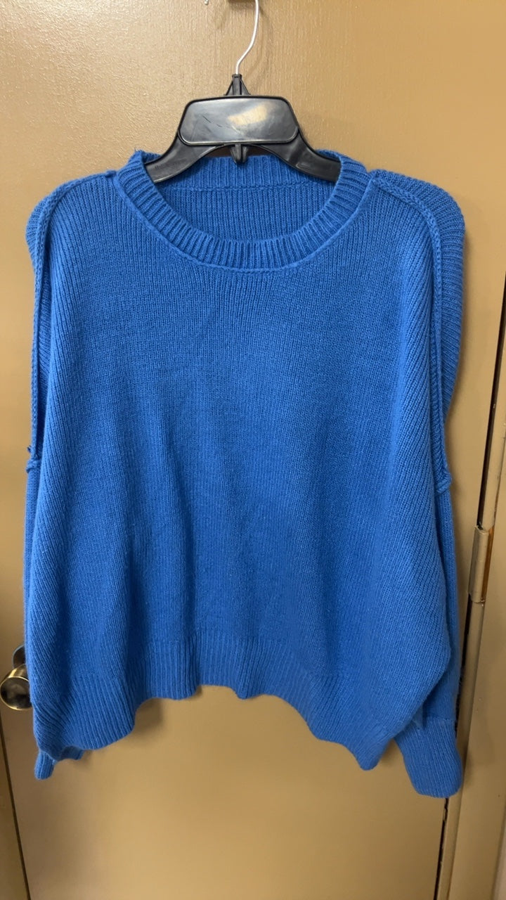 Blue Sweater Medium/Large
