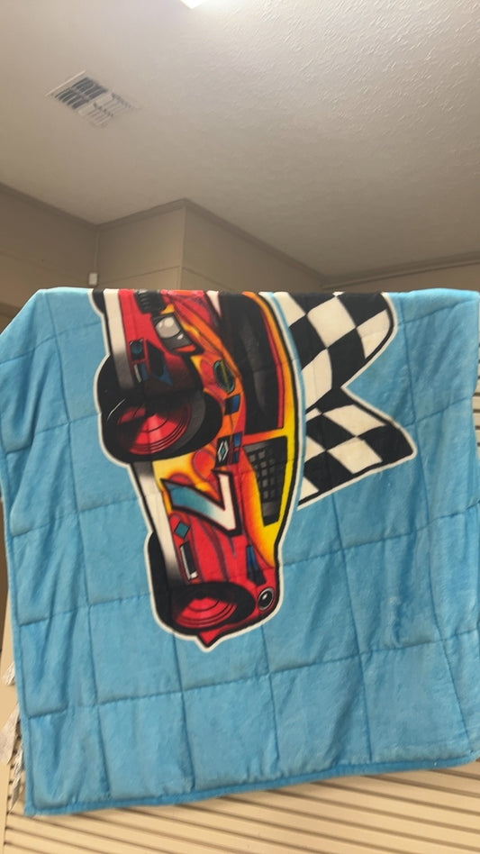 Weighted Car Blanket