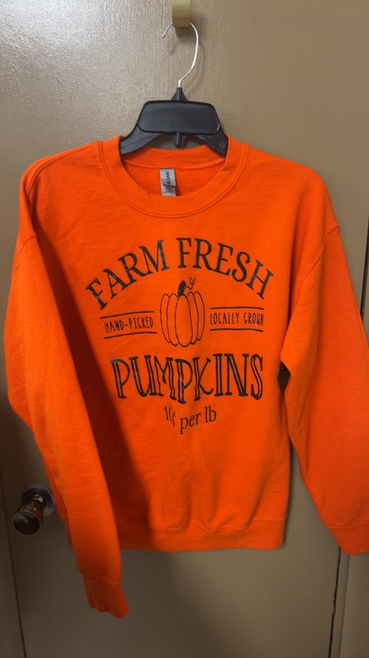 Pumpkin Sweatshirt Medium