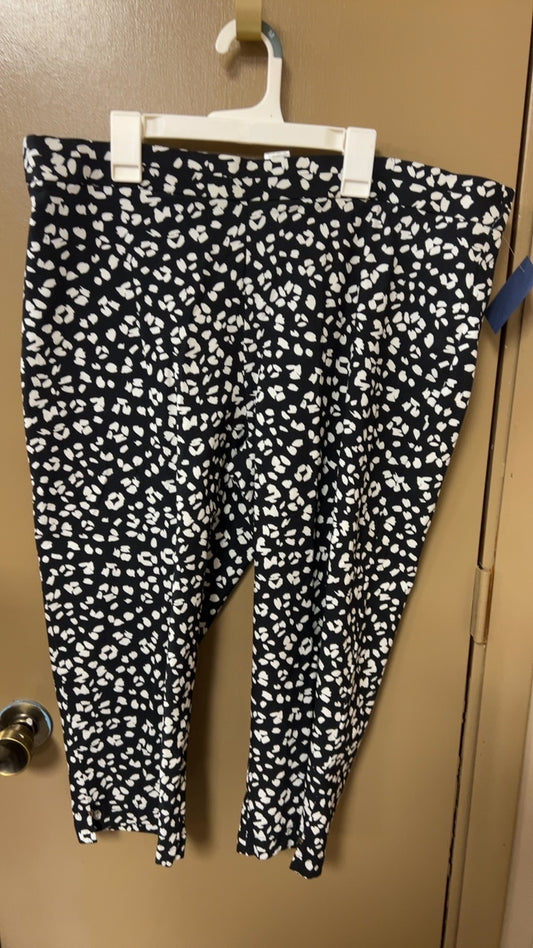 Pants XL