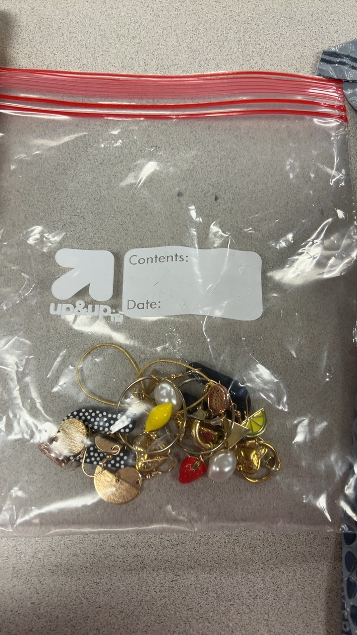Accessories, Jewelry Earring Bag