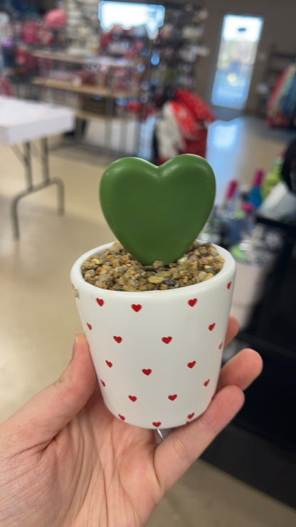 Valentine’s Day Pot / Planter