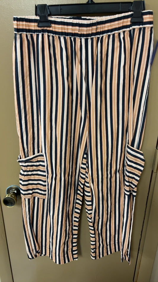 Pants Large