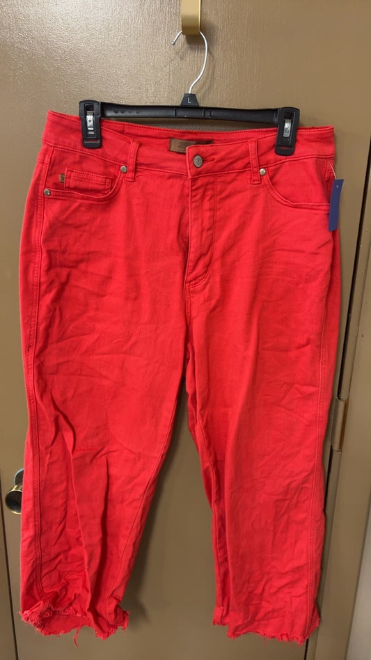 Judy Blue Pants 14