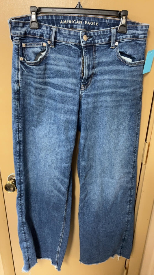 American Eagle Jeans 10 long