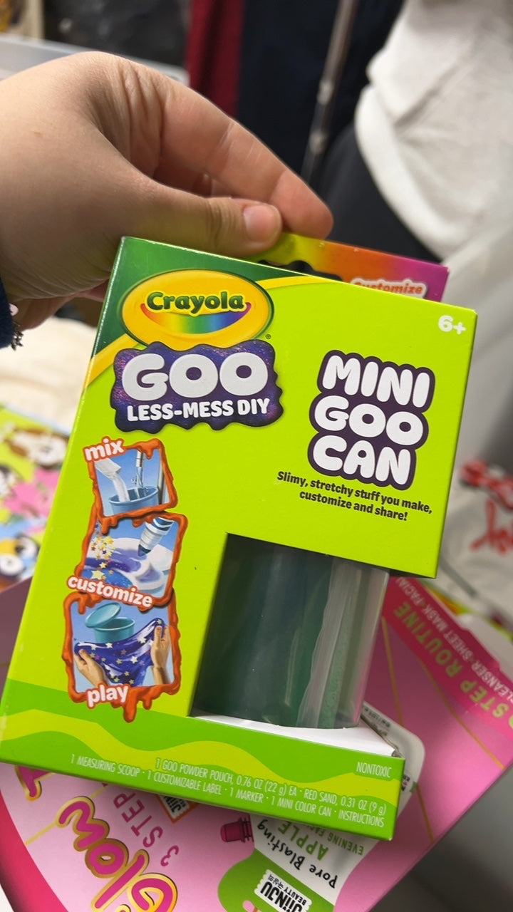 Crayola Craft Kit