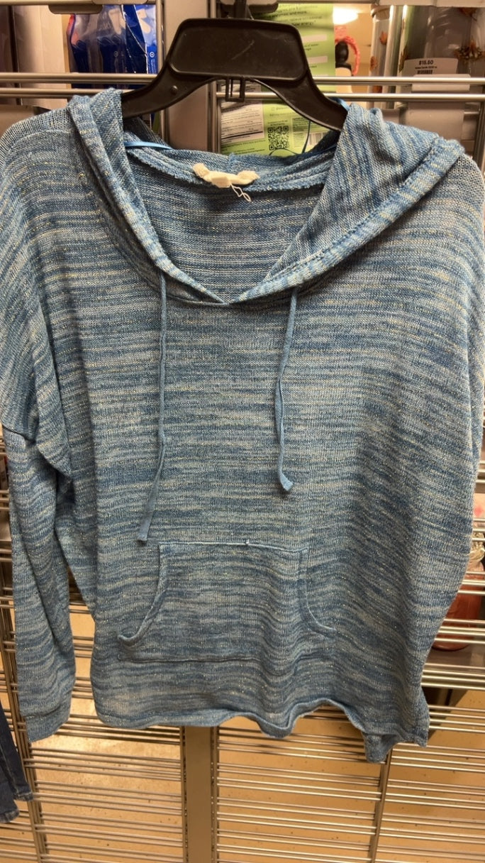 Blue Hoodie Large