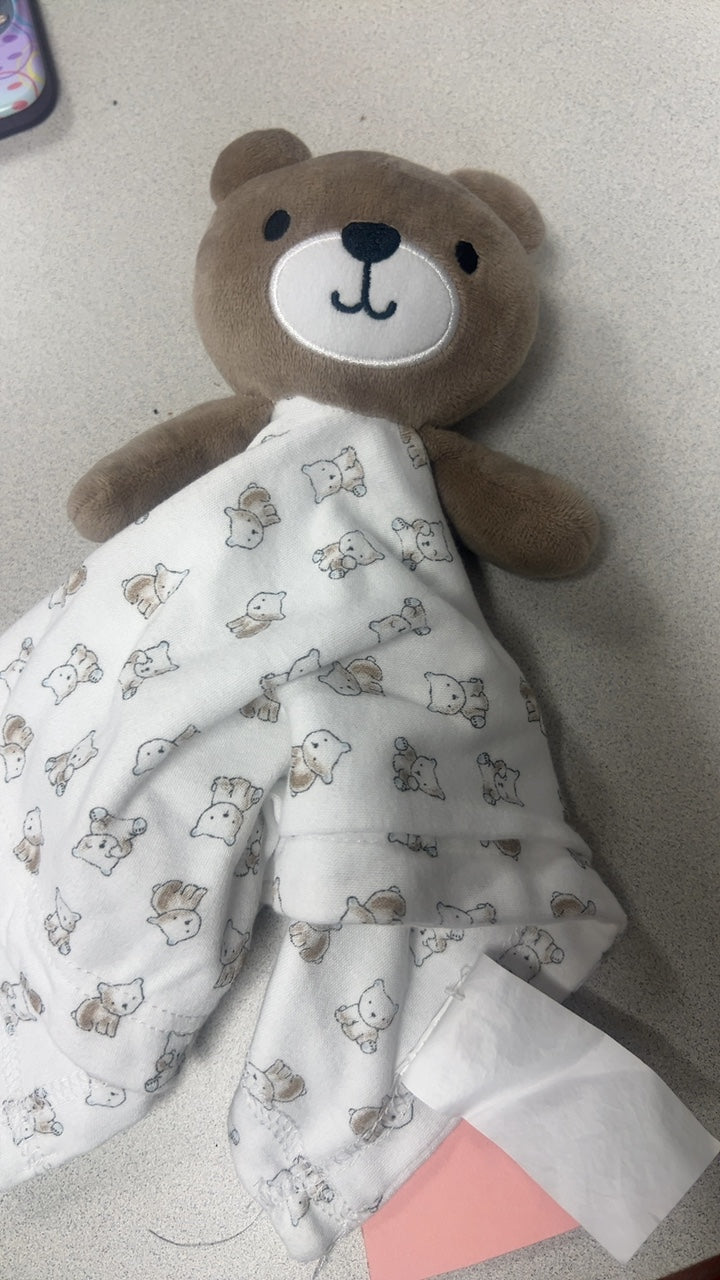 Bear Stuffy