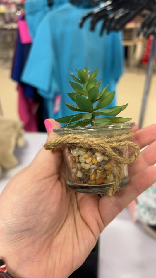 Plant