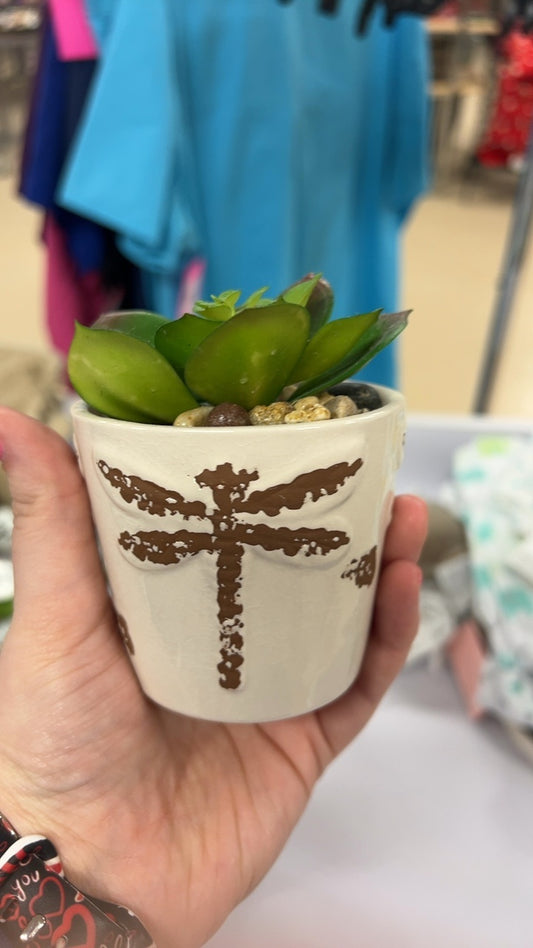 Plant Pot