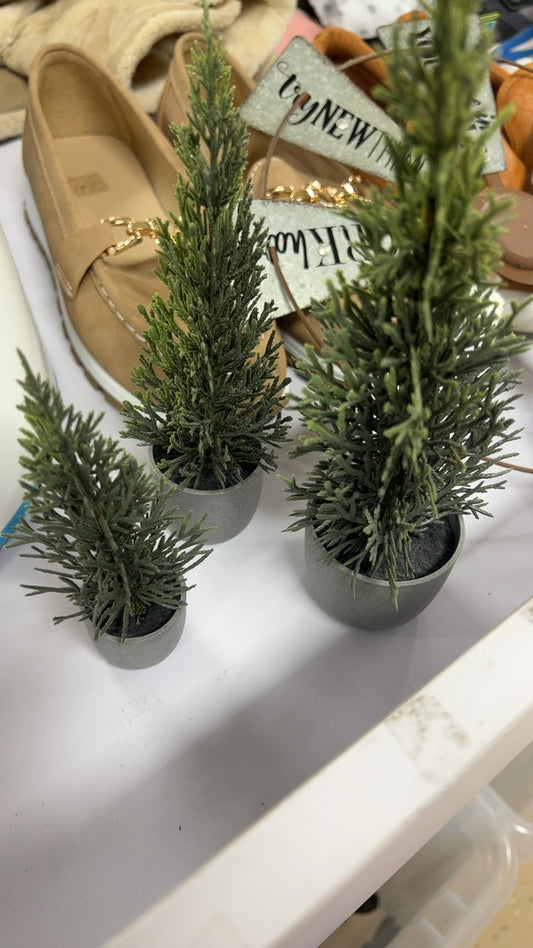 Plant(3)