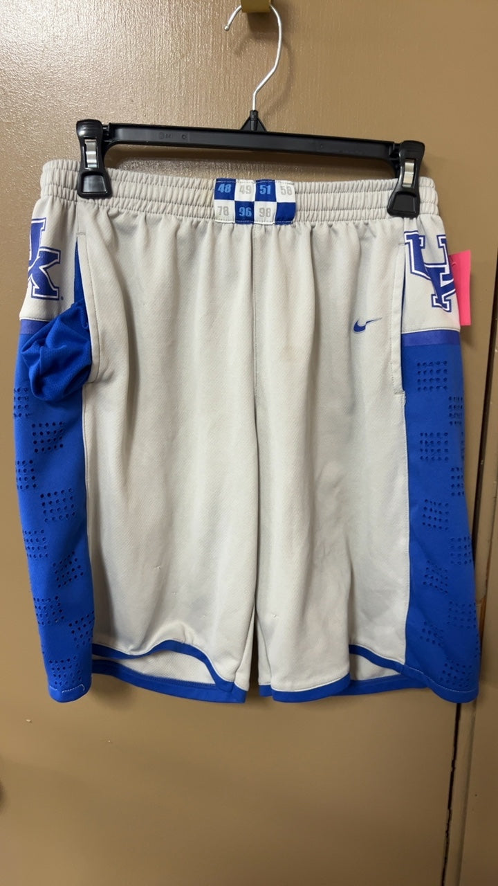 Nike Shorts MENS Large