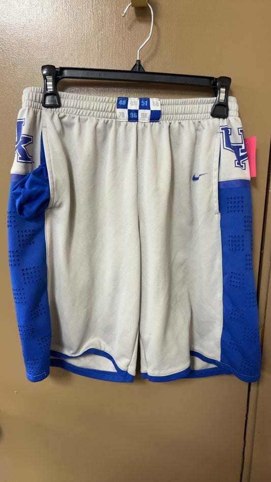 Nike Shorts MENS Large