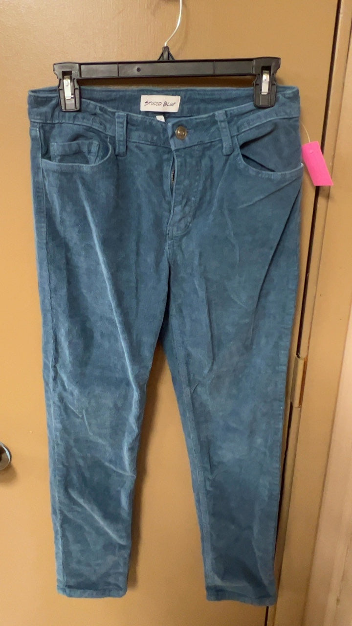 Straw Blue Pants 27 Waist