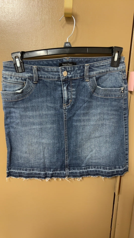Skirt 2