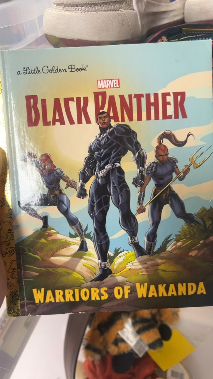 a Little Golden Book Book