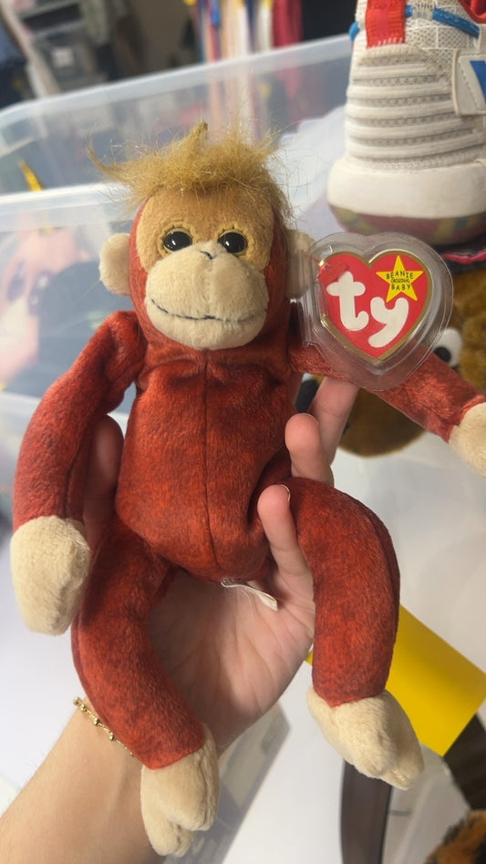 ty Plush Toy