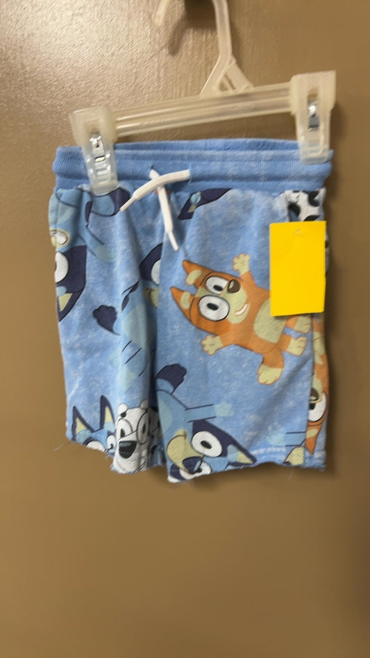 Pants 2t