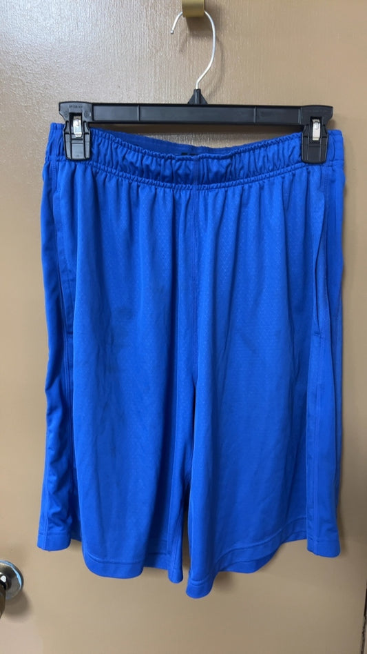 Nike Shorts MENS SMALL