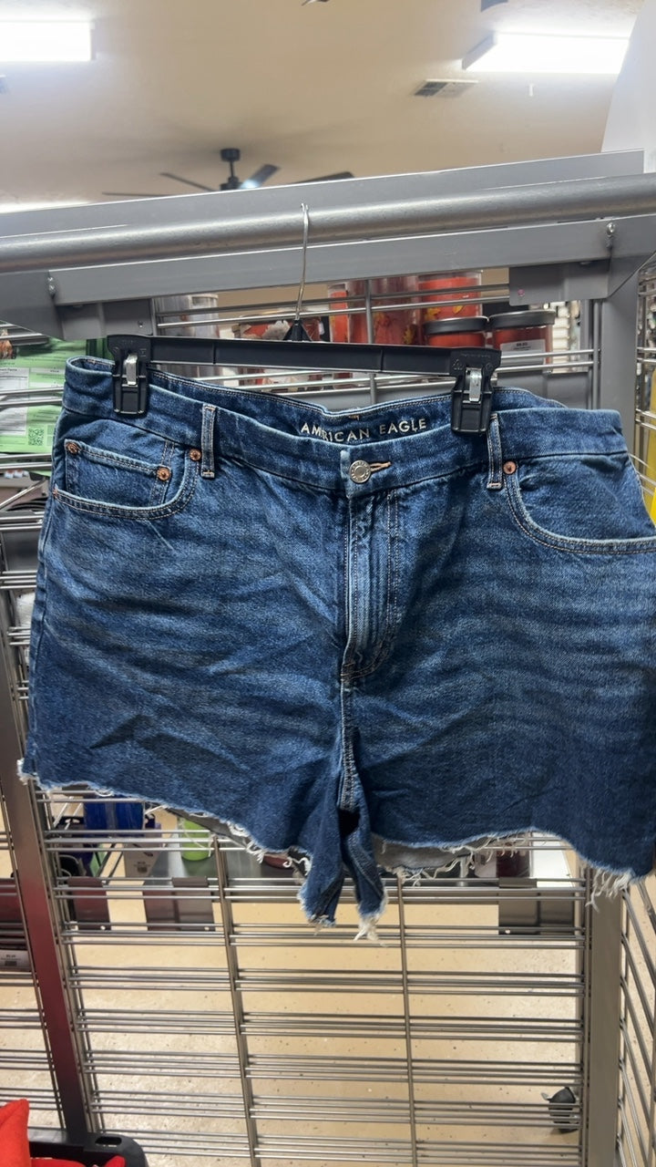 American Eagle Shorts 18 Short