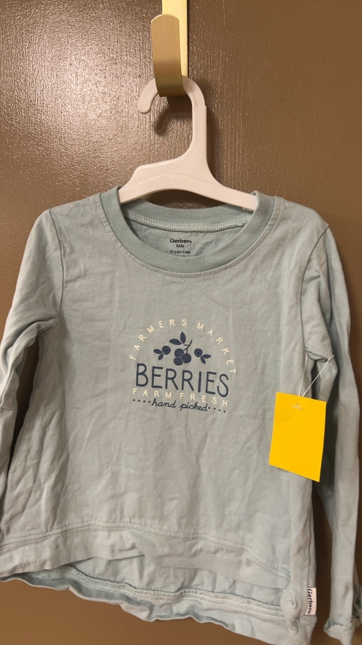 Gerber Sweatshirt Youth 3t