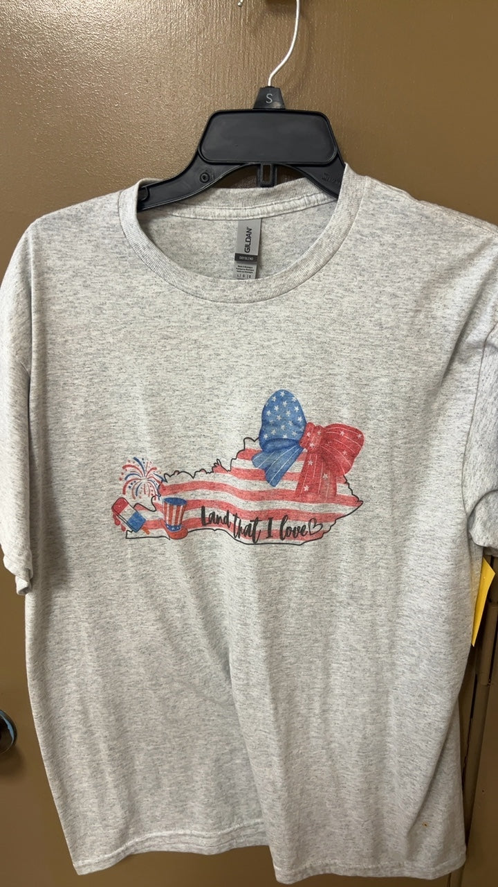 Gildan T-Shirt Large