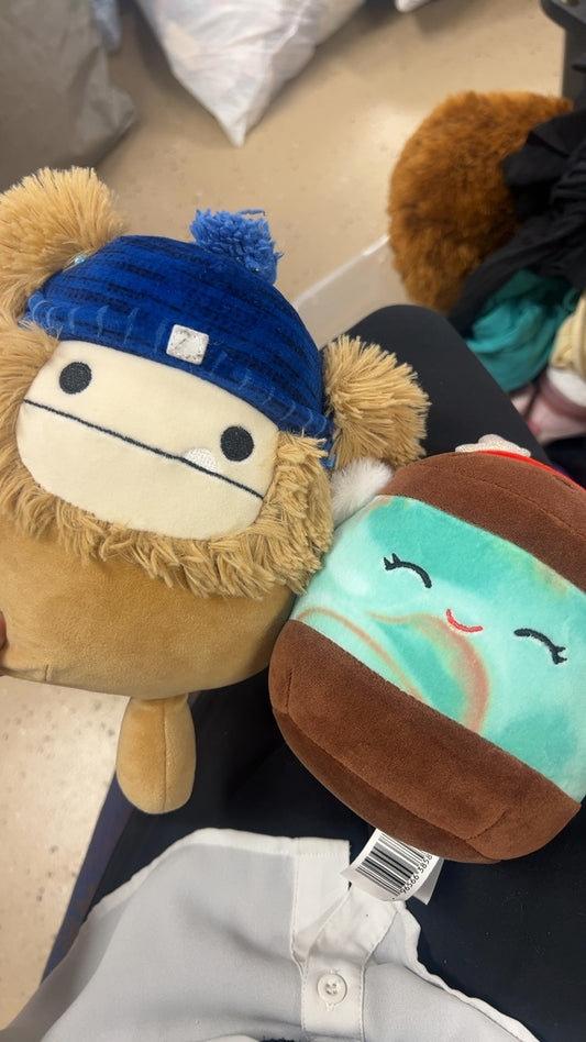 Toys & Plushies 1 Small Squishmallow