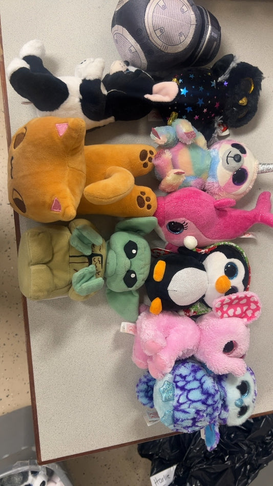 Small Assorted Stuffed Animal