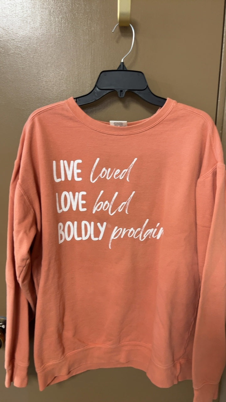 Sweatshirt Large