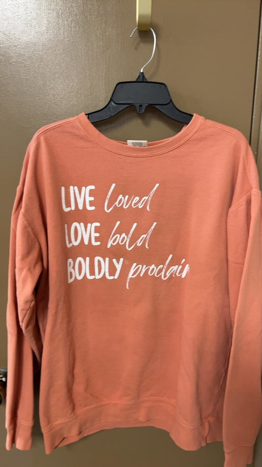 Sweatshirt Large