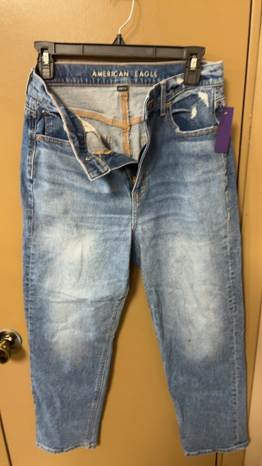 American Eagle Pants 6 short