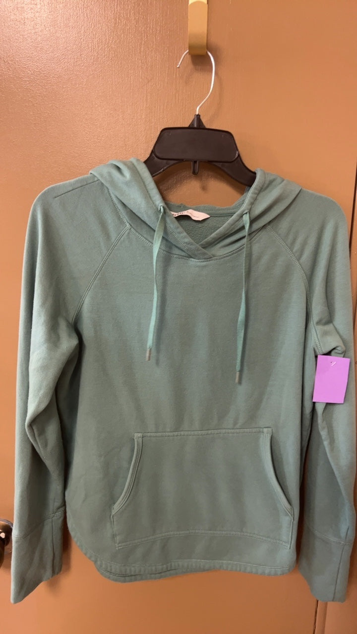 DSG Hoodie Small