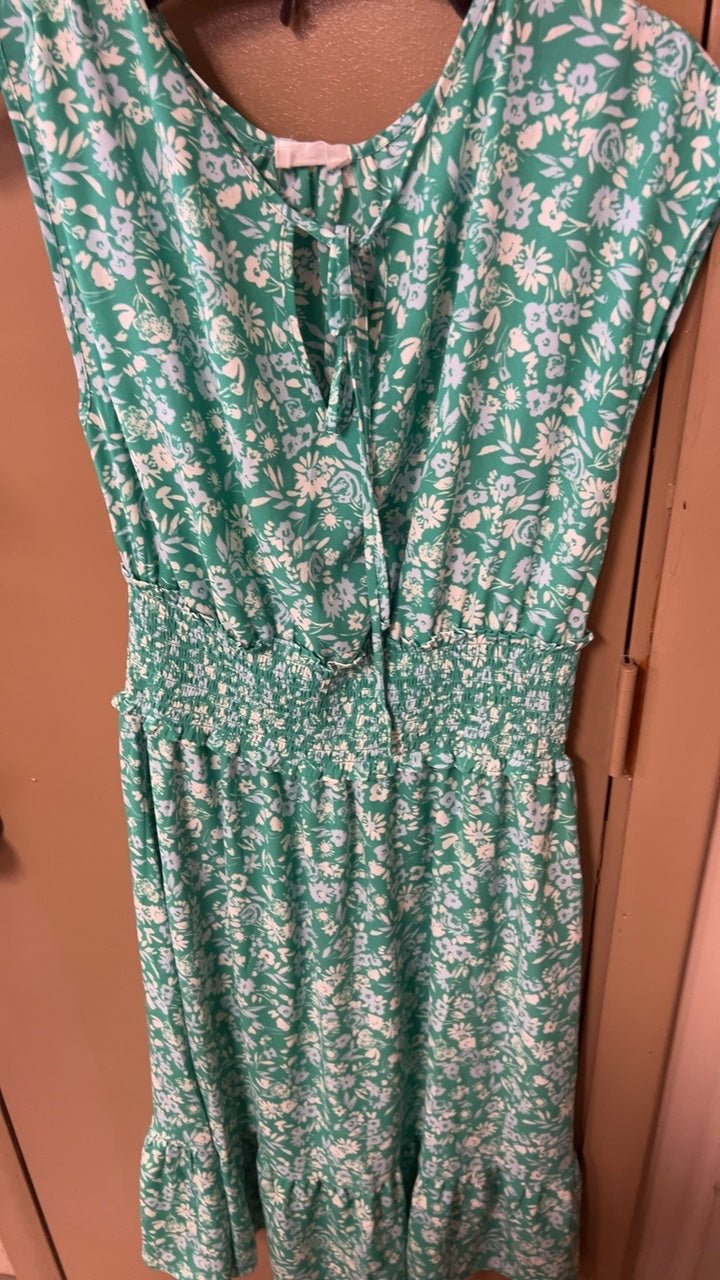 Dress Large