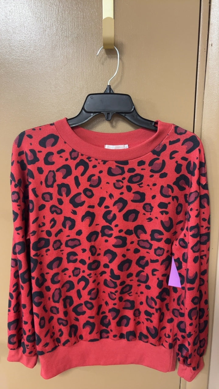 Sweater Small