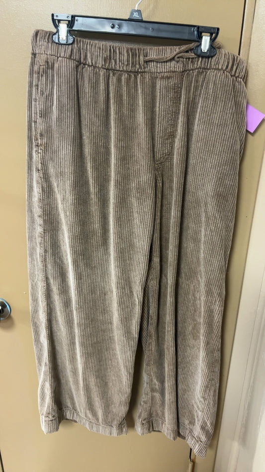 American Eagle Pants Large