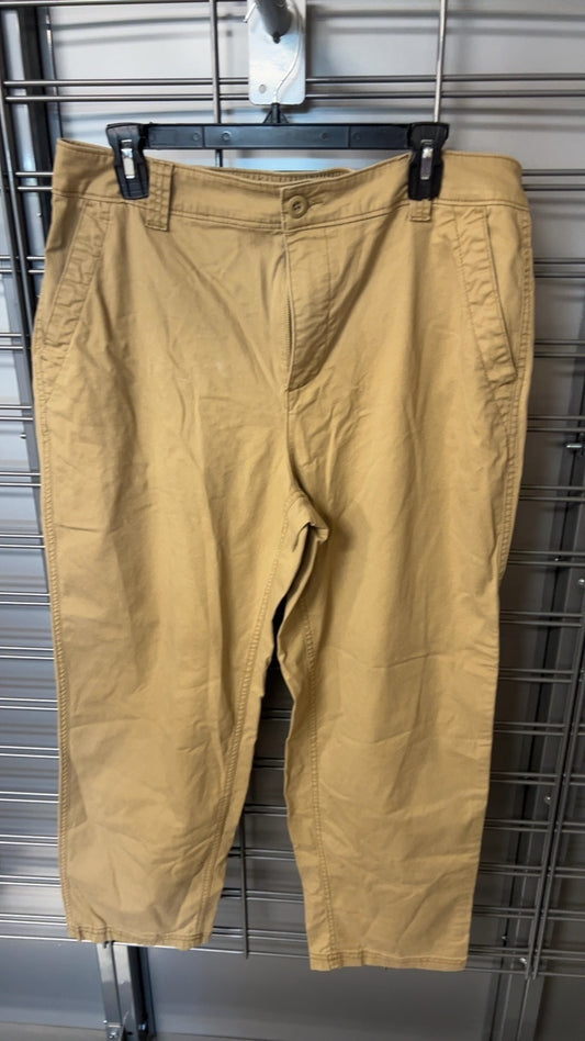 Pants Large