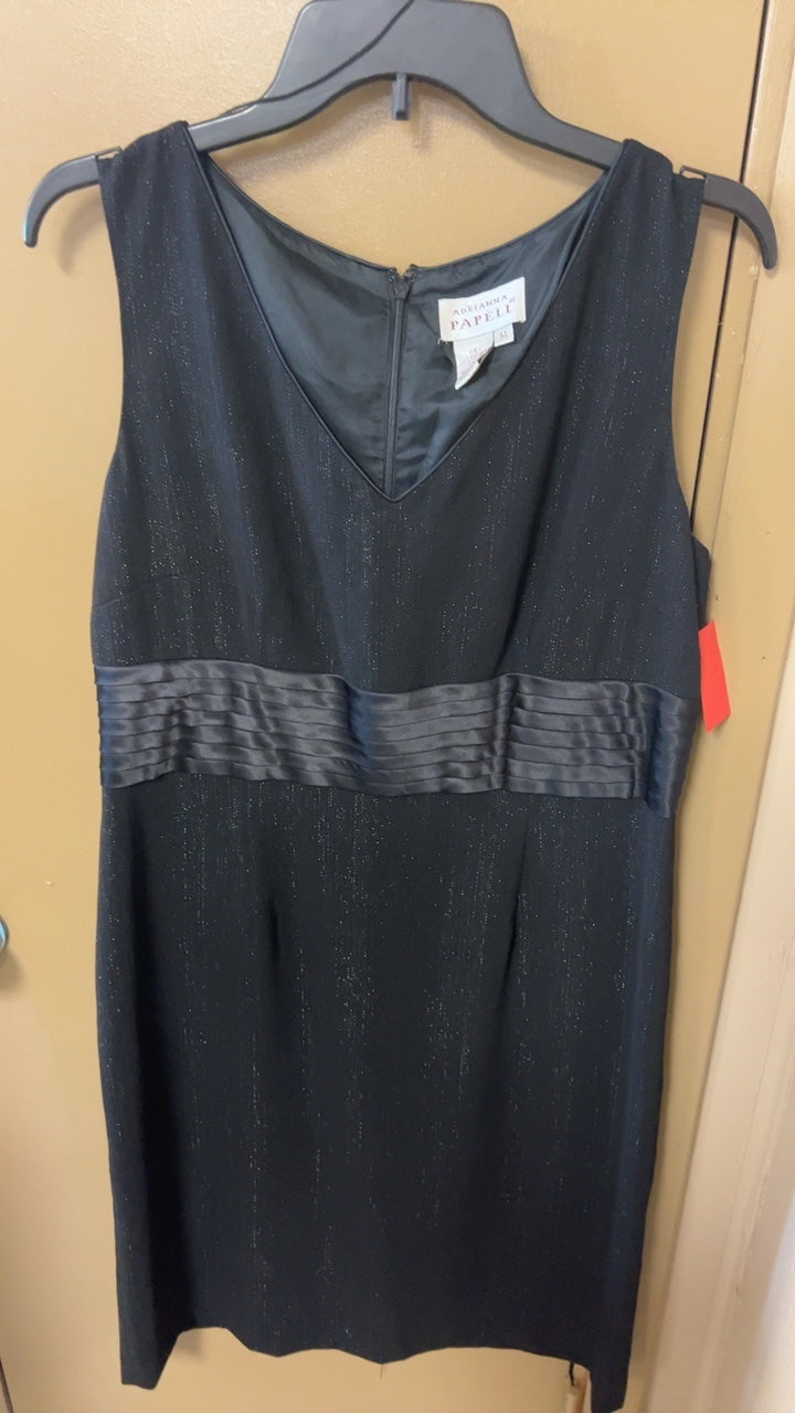 Adrianna Papell Dress 14