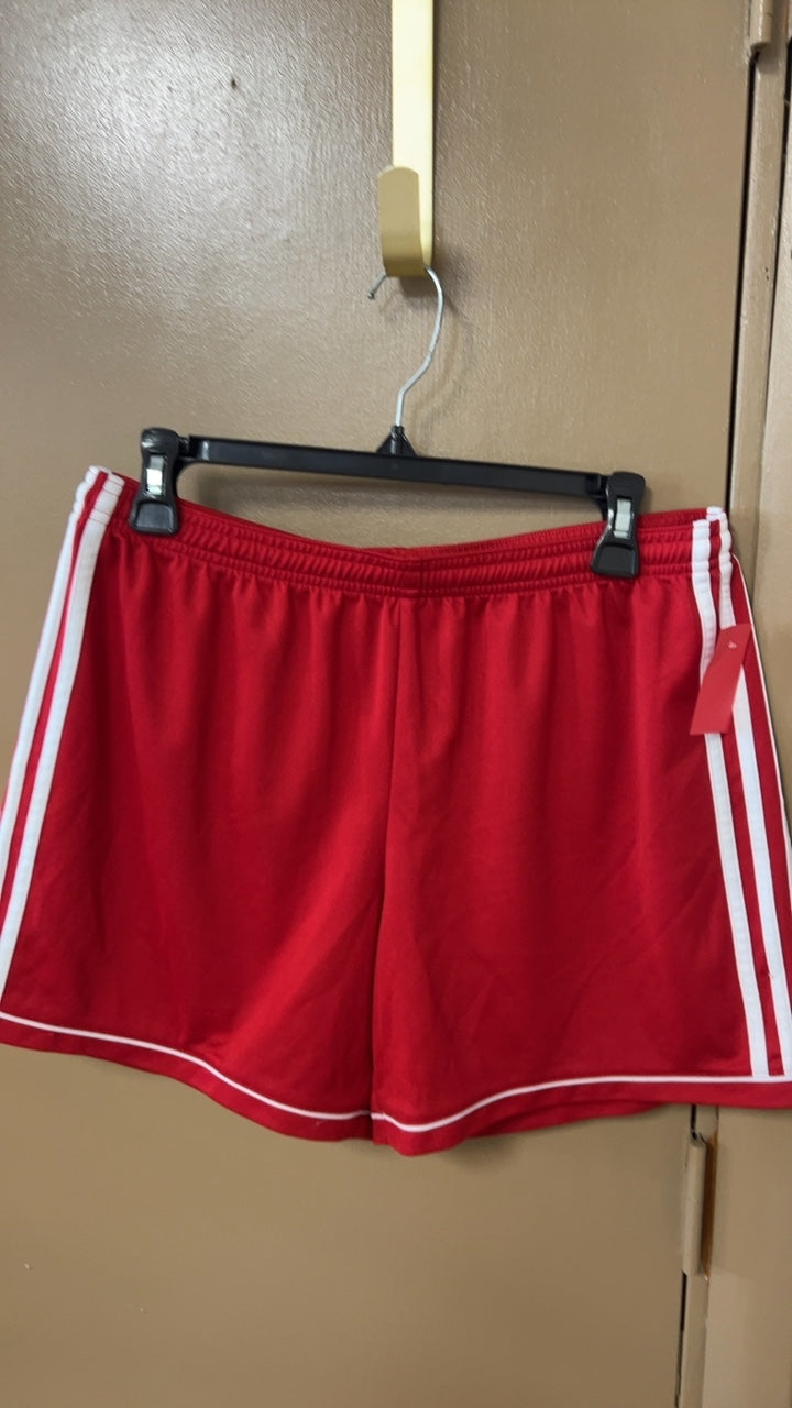 Shorts Large