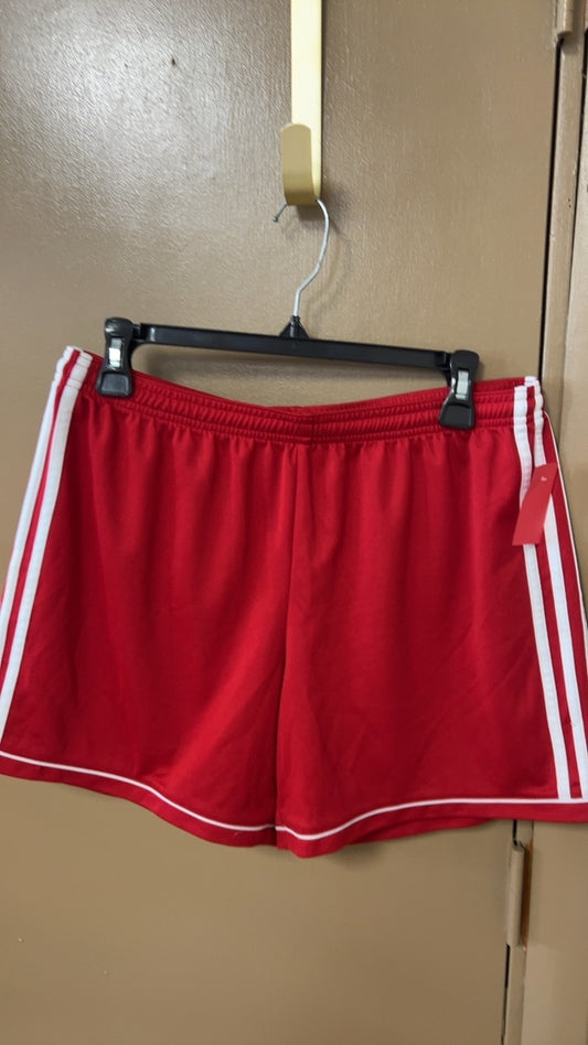 Shorts Large
