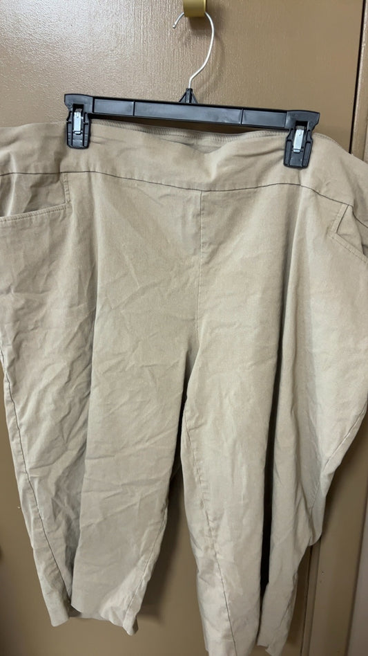 Pants 3X