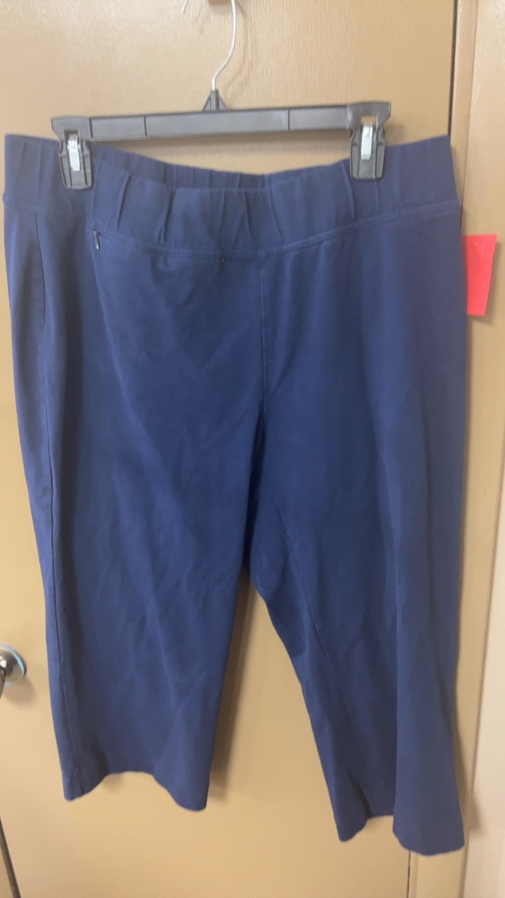 Pants 1X