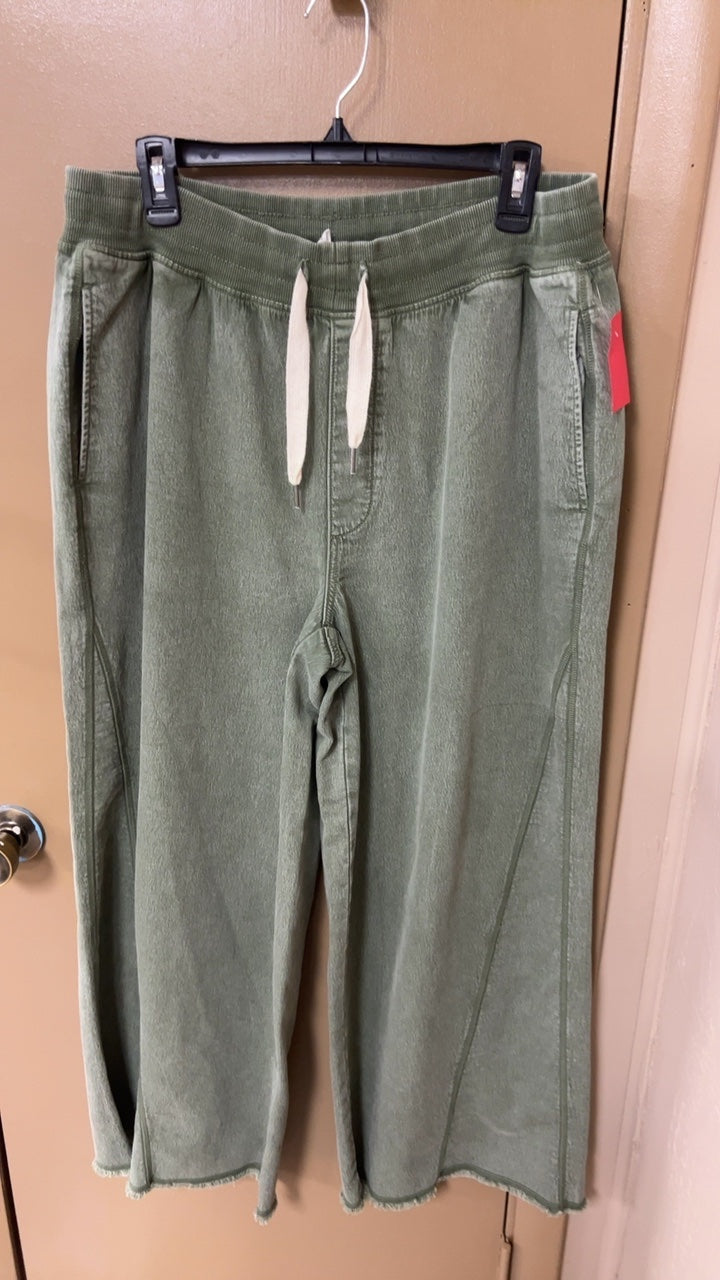 Aerie Pants Large