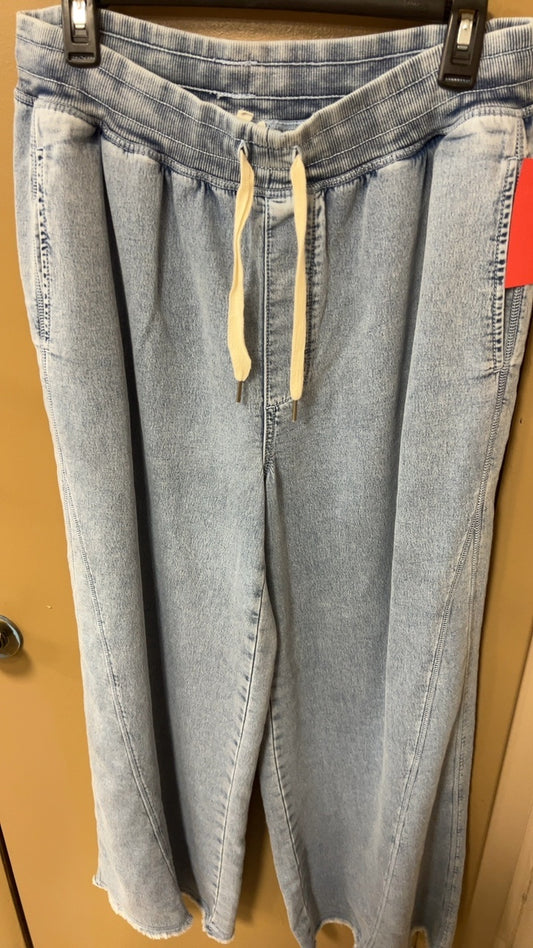 Aerie Pants Large