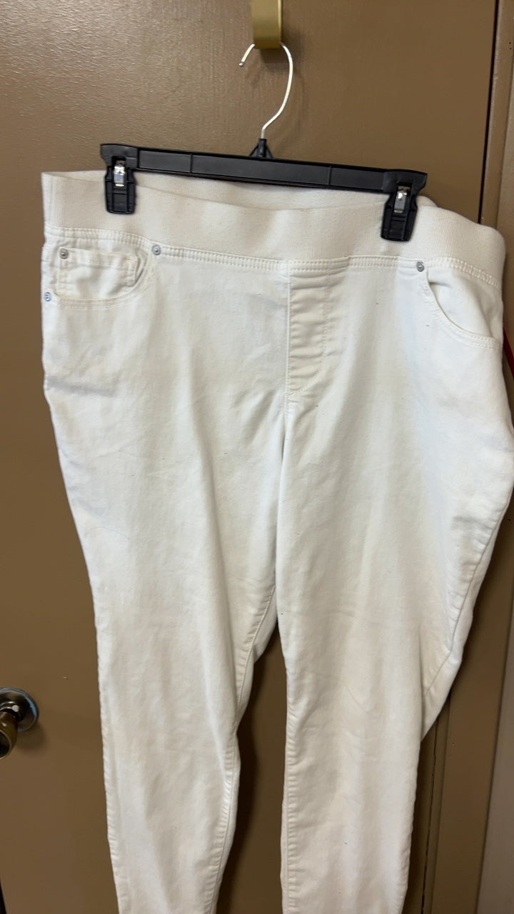Pants 1X