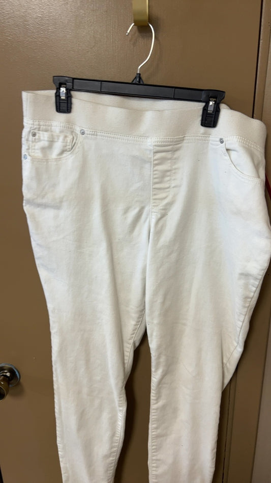 Pants 1X