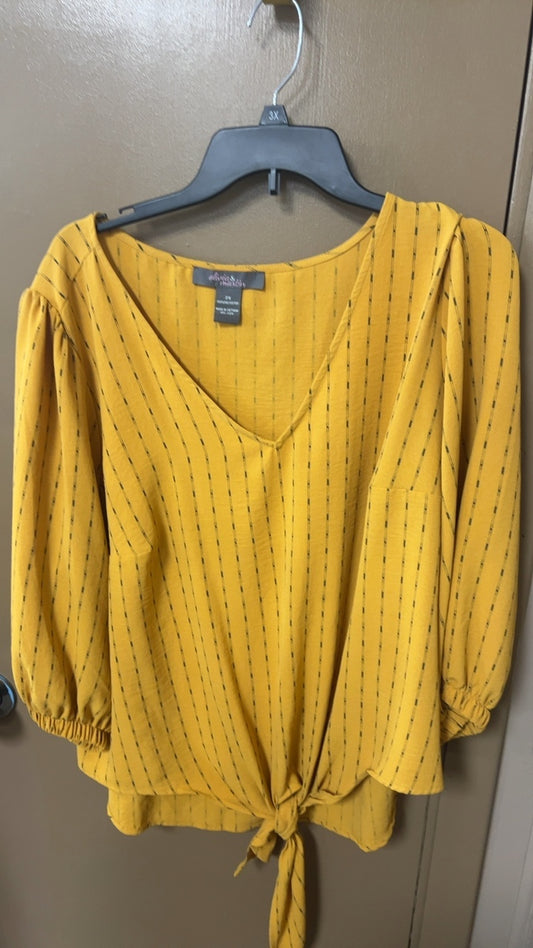Blouse 2X