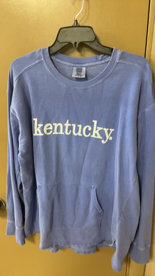 Comfort Colors Sweatshirt Large
