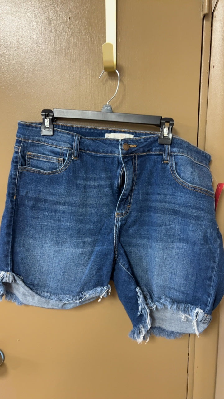 Shorts 2X