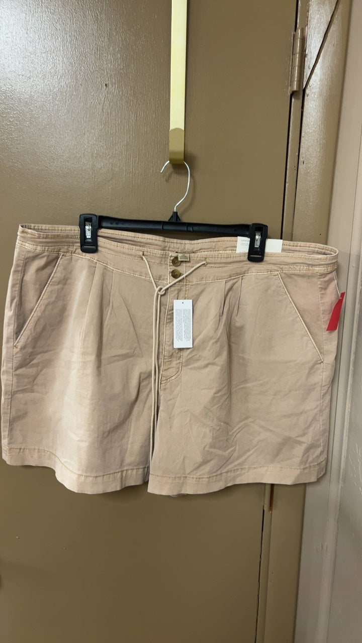 American Eagle Shorts 20